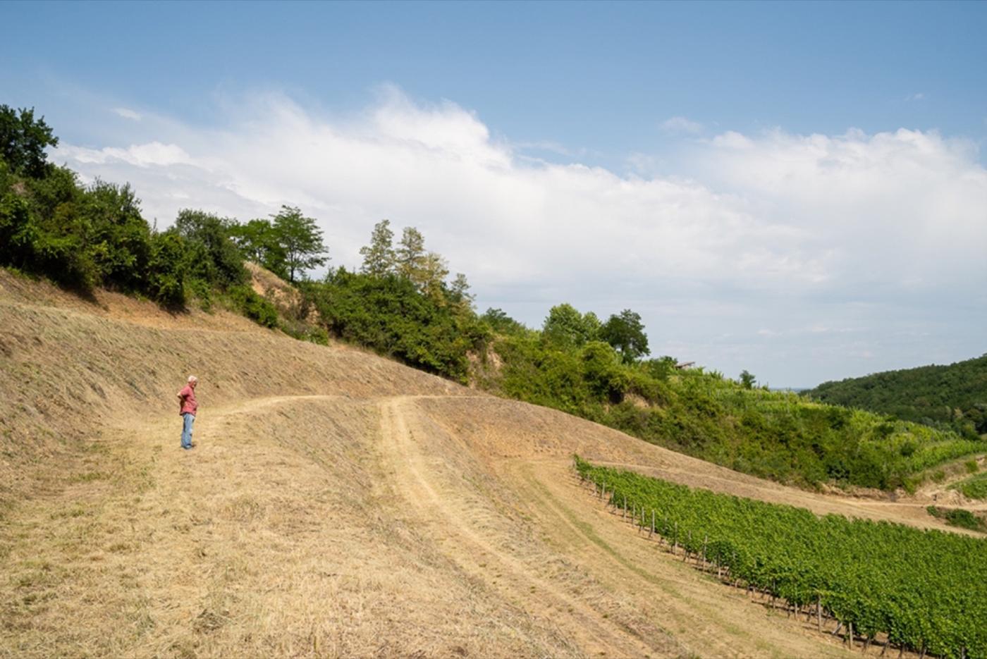 A Máriás-dűlő amfiteátruma